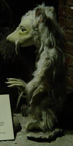 44 old rat.JPG